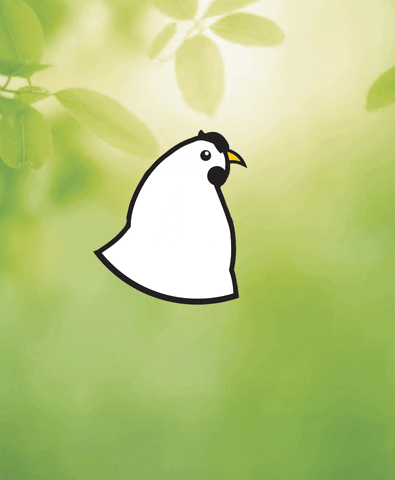 fayepig giphyupload GIF