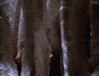 x files GIF by The X-Files