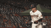 Regular Season Sport GIF by MLB