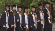 Celebrate South Carolina GIF by University of South Carolina