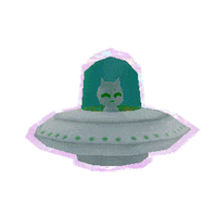 Cat Sticker Sticker