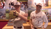 Baseball Johnson GIF by Lafayette Leopards