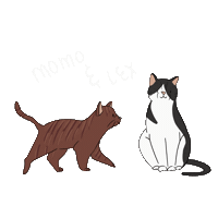 Actafabulaest Sticker by Lauranne leest