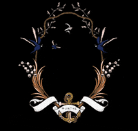 GIF by Munthe