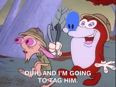 ren and stimpy nicksplat GIF