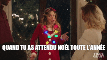 GiantTigerStore tigre geant tigregeant GIF