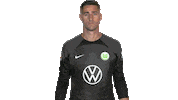 Three Points Win Sticker by VfL Wolfsburg