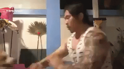 every asian pet knows kung fu GIF