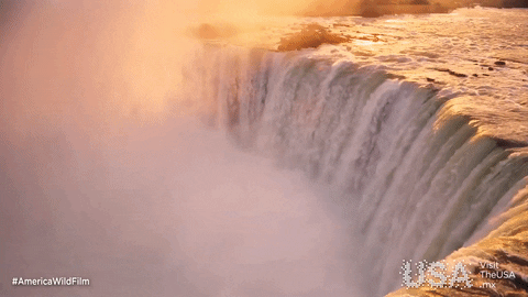 GIF by Visit The USA MX