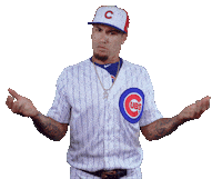 Chicago Cubs No Sticker by MLB