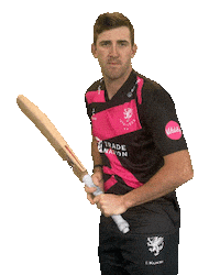 Ball Drive Sticker by Somerset County Cricket Club