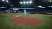 Blue Jays Baseball GIF by Toronto Blue Jays