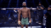 Mixed Martial Arts Sport GIF by UFC