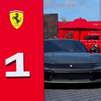 Ferrari Challenge GIF