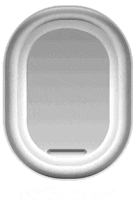 Indigo6E Sticker by IndiGo Airlines