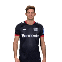 Bayer 04 No Sticker by Bundesliga