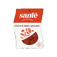 Pecans Sweet Spicy Sticker by Santé Nuts