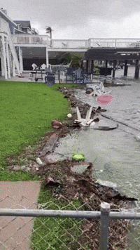 Downed Trees and Flooding Seen in Galveston After Beryl Hits