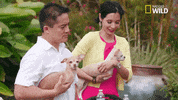 pupparazzi puppy potty face GIF by Nat Geo Wild