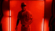 Major League Baseball Sport GIF by Baltimore Orioles