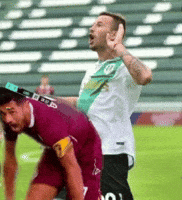 Salame GIF