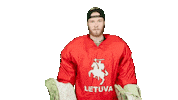 Hockey Goalie Sticker by ledoritulys.lt