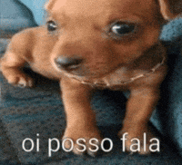 Batatamookie GIF