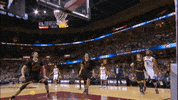 new york knicks GIF