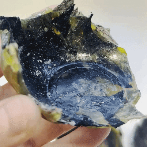 emmashannontextiles giphyupload emmashannon fishleather pineresin GIF