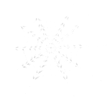 Spider Web Halloween Sticker by Channel 4