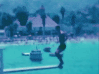 Merry Go Round Dancer GIF by Stray Fossa