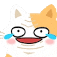 Chonk Sticker by Leo Maine Coon