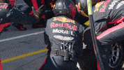 Ver Red Bull GIF by Red Bull Racing Honda