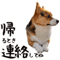 Corgi Milo Sticker