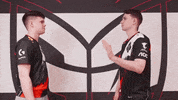 Rainbow Gg GIF by G2 Esports