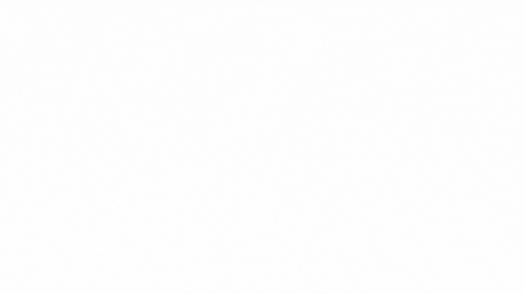 dkdnyu giphyupload sorority sisterhood nyu GIF