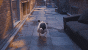 Excited Bog GIF by Bank Of Georgia