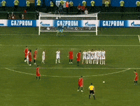 Fifa World Cup Ronaldo GIF
