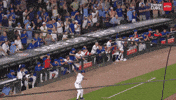 Celebrating Chicago Cubs GIF