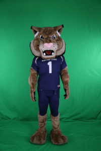 champ gocatsgo GIF by MSU Bobcats