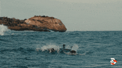 Air Jaws Wow GIF by Shark Week