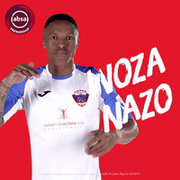 south african soccer win GIF