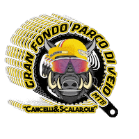 Gran Fondo Parco Di Veio Sticker by AsdFlaminiaBike