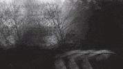 Lightning Trees GIF by Well Now WTF?