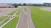 Driving Formula 1 GIF by Formula Santander