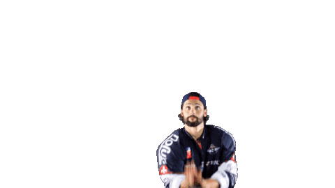 Hockey Ice Sticker by Les Ducs d'Angers