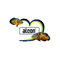 Alcontudodebom Sticker by Alcon Pet Food