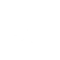 primera division soccer Sticker by Claro Costa Rica