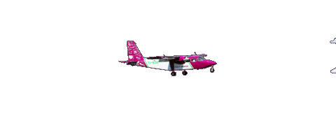 CostaRicaGreenAir giphyupload green fly plane Sticker