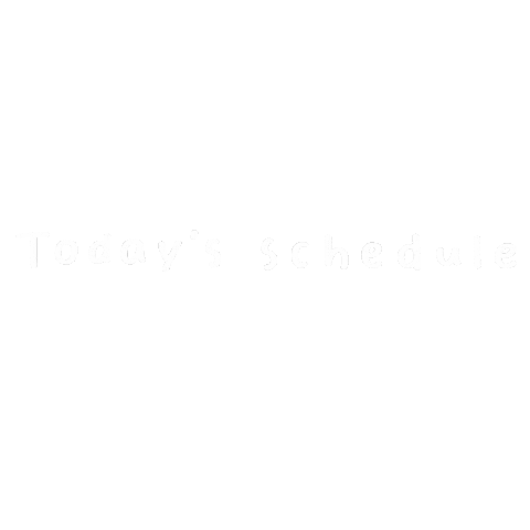 Plan Schedule Sticker